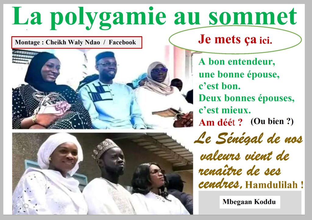 La polygamie au sommet                                                                                      A bon entendeur, une bonne épouse, c’est bon. Deux bonnes épouses, c’est mieux. Am déét ?  (Ou bien ?) Le Sénégal de nos  valeurs vient de ses cendres, Hamdulilah !                     