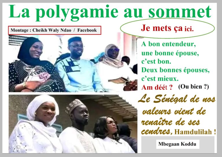 La polygamie au sommet