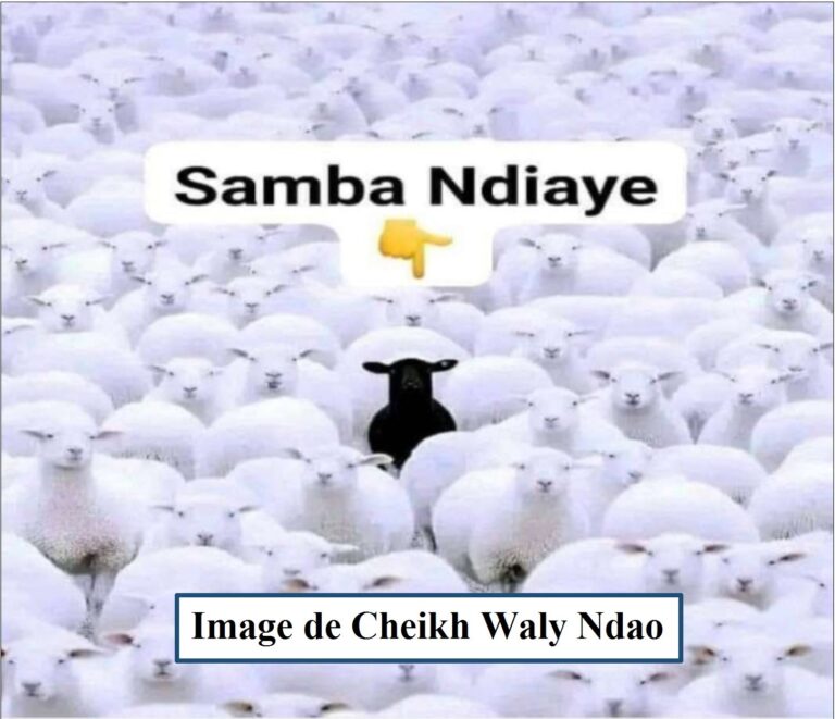 Après sa nomination, il a tweeté : « LE PROJET dans le sillage la de la SOUVERAINETE sera soutenu en toutes circonstances … » Ça, c’est du baratin de transhumant aguerri. On connait la rengaine. Monsieur Ndiaye, vous savez bien le malaise que vous provoquez en occupant ce poste. Donc, si vous tenez au PROJET, démissionnez pour mettre tout le monde à l’aise. Je sais que, pour avoir été à la soupe avec Wade ainsi qu’avec Macky et entrer dans les bonnes grâces de Diomaye, vous devez être trop intelligent, très rusé, fort en manœuvres ou un sacré roublard sans beaucoup de dignité. Vous vous accrocherez sans vergogne. Mais, cheveu dans la soupe, vous en serez extirpé in sha Allah. Le peuple veille.