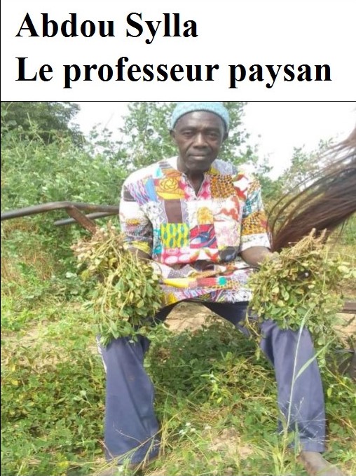 Abdou Sylla est un paysan né. Professeur d’Histoire/Géographie parti à la retraite il y a peu, il n’a jamais rompu le lien affectueux qui l’a tenu à la terre, de son enfance à nos jours. Il m’a dit : « On m’a baptisé avec l’argent de l’arachide. » Il a raison. Son père, agent vétérinaire à la belle époque, n’en était pas moins un grand agriculteur attaché à ses terres et à ses bêtes de labeur. Et puisque la caque sent toujours le hareng, Abdou, comme on aime l’appeler dans notre quartier, reste fidèle à la terre qu’il fréquente avec passion et fidélité.